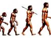 Erorile de Evolutie